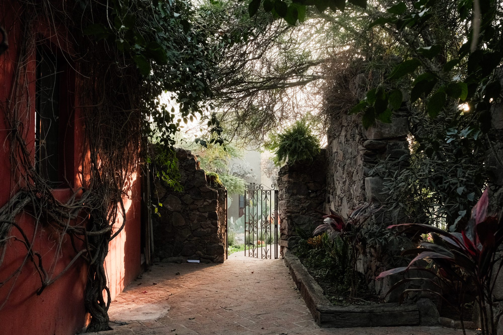 Casa X